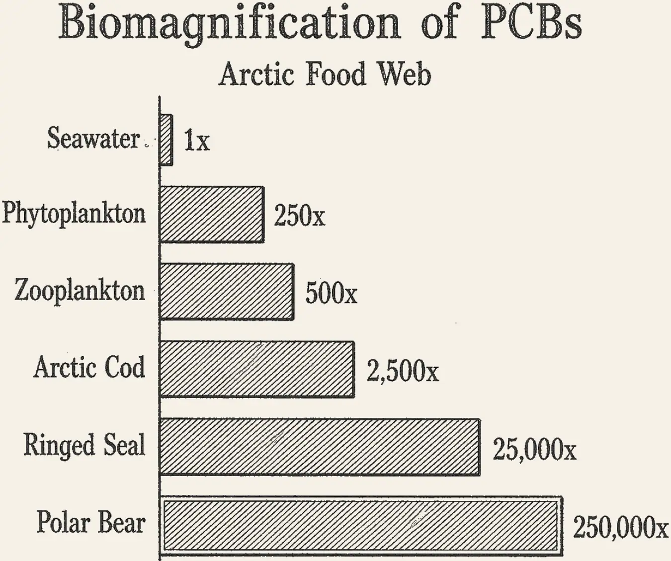 Biomagnification PCBs. Biomagnification of PCBs through the Arctic food web, a bar for each step from seawater at one time, through phytoplankton, zooplankton, Arctic cod and ringed seal, to polar bear at two hundred and fifty thousand times.