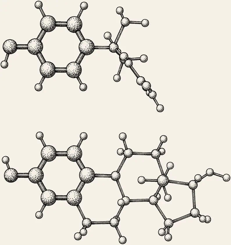 BPA and Estradiol, Side by Side. Bisphenol-A above estradiol, the two phenol ends aligned down the left. Different molecules, but the ends match.