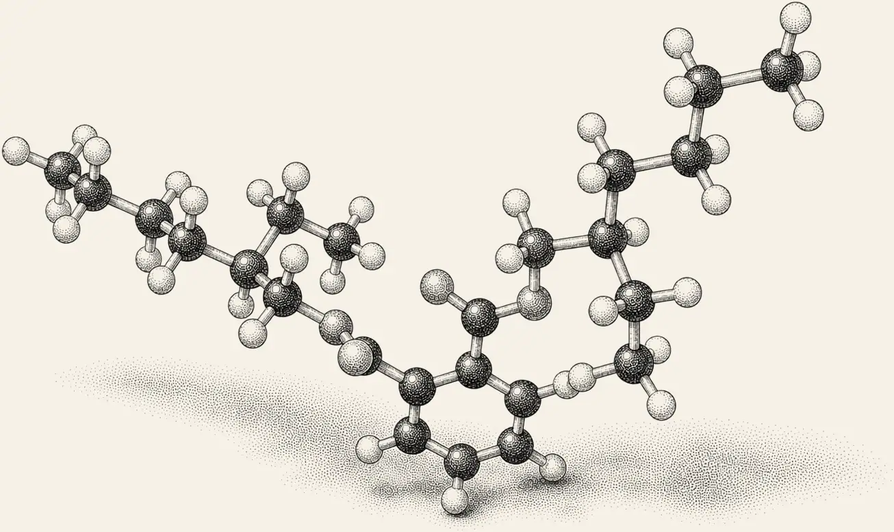 DEHP Molecule. DEHP in three dimensions.