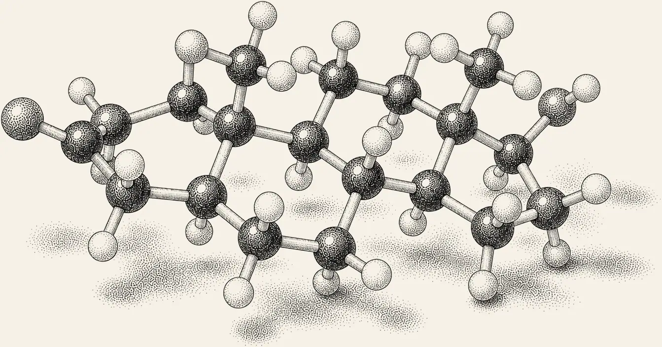 DHT Molecule. Dihydrotestosterone, DHT in three dimensions.