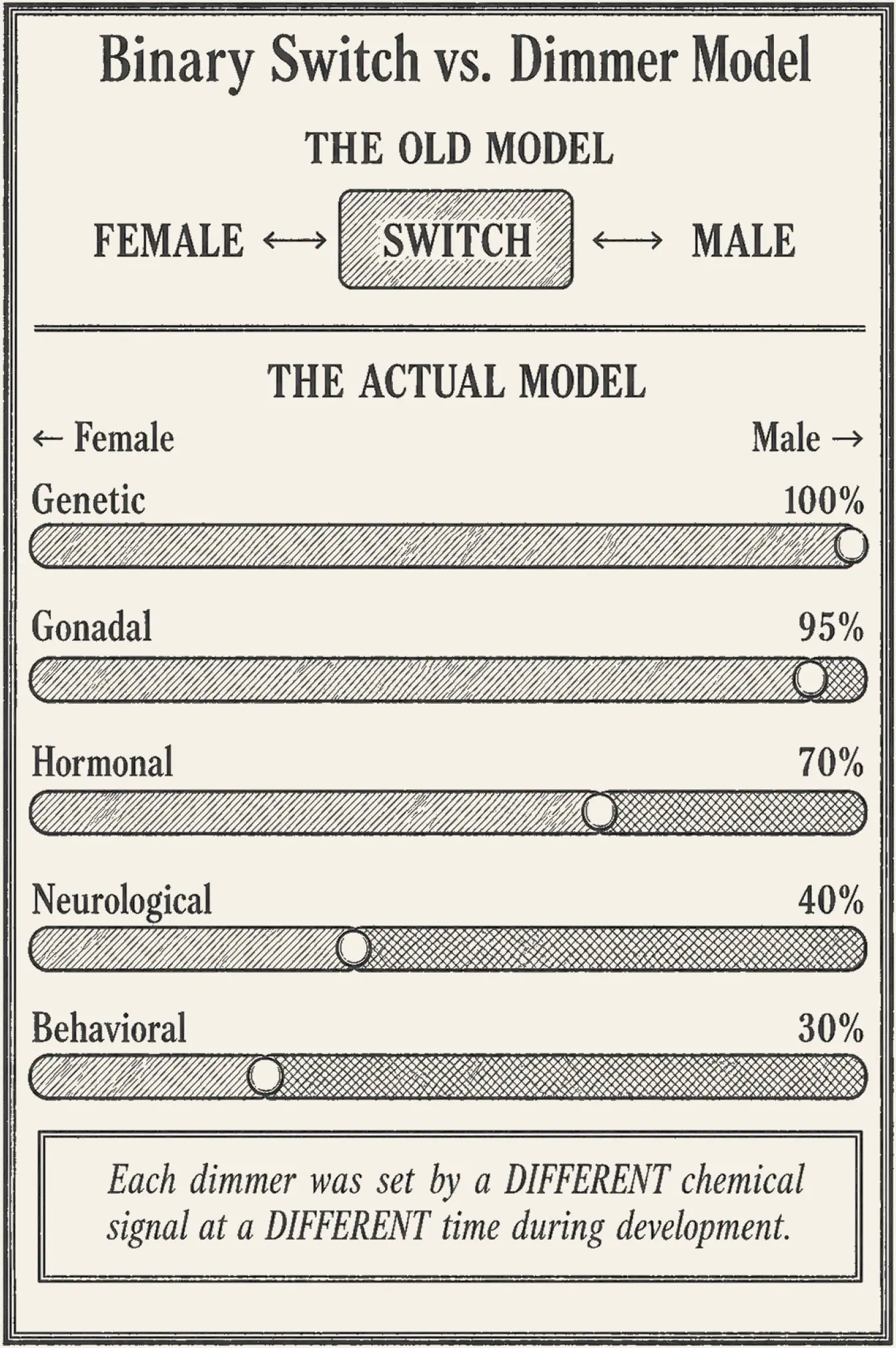Dimmer Switch. The binary switch against the dimmer model. Above, sex drawn as one two-position switch. Below, the same thing drawn as a bank of separate sliders, each set independently.