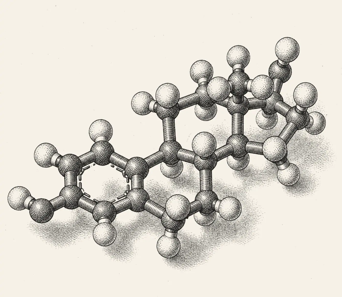 Estradiol Molecule. Estradiol in three dimensions.