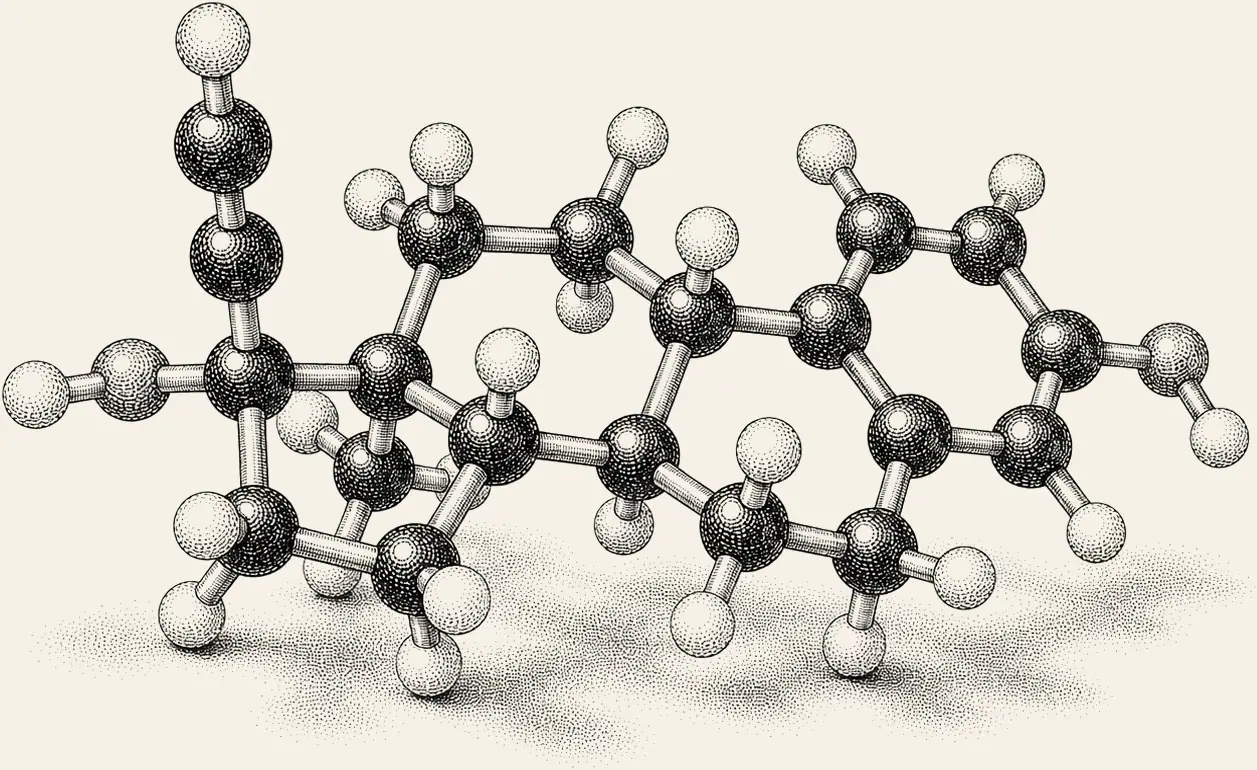 Ethinylestradiol Molecule. Ethinylestradiol in three dimensions.
