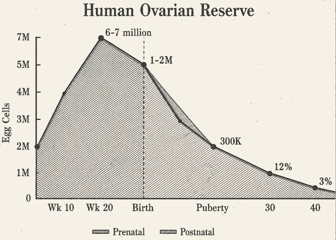 Human Ovarian Reserve. Human ovarian reserve, egg cells against age, peaking at six to seven million before birth, one to two million at birth, three hundred thousand at puberty, and the long fall after.